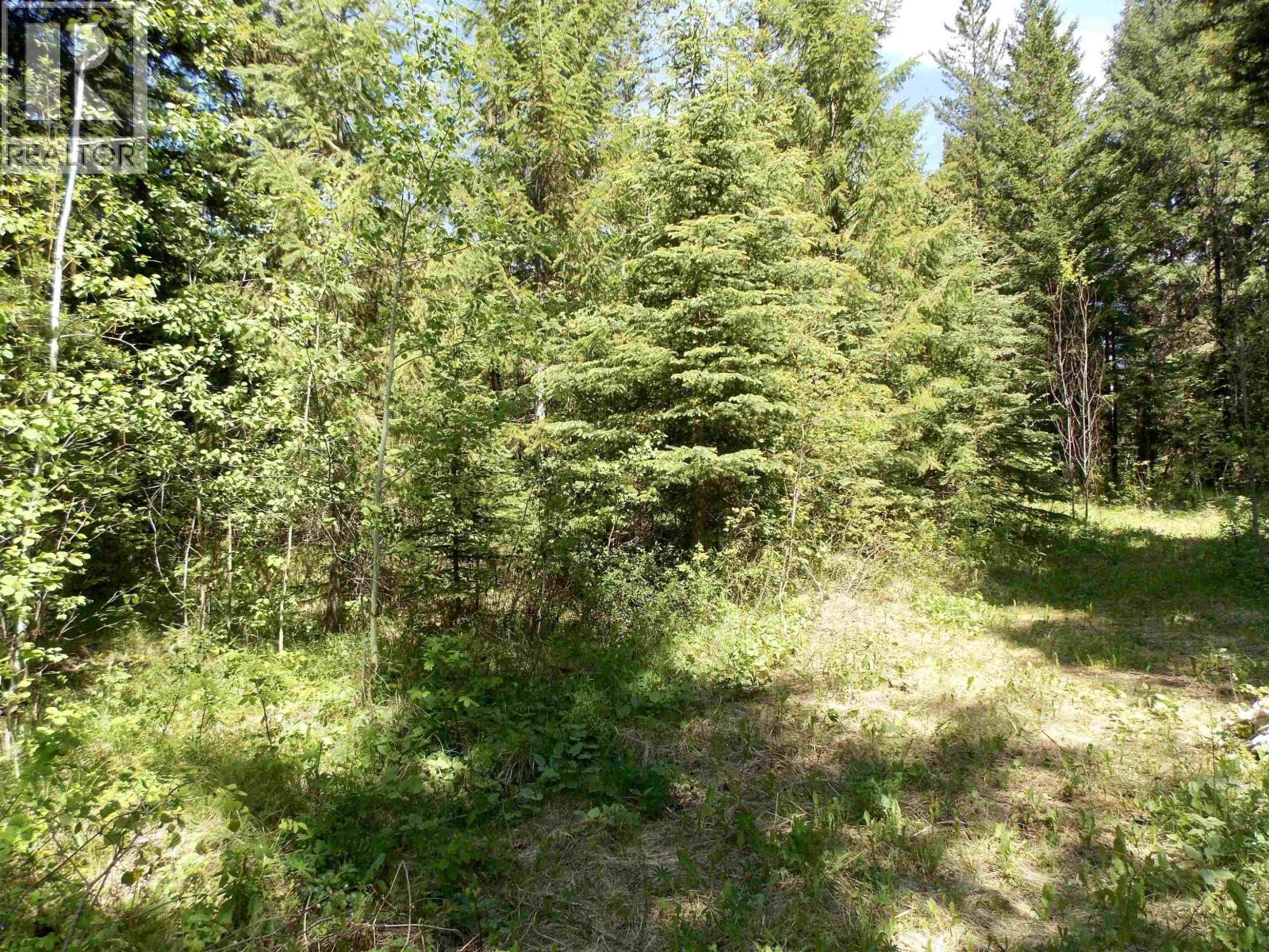 Lot 2 Starlike Lake Road, Horsefly, British Columbia  V0K 2G0 - Photo 14 - R3127883