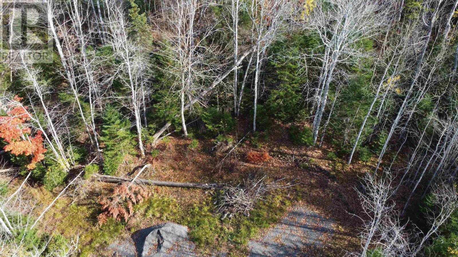 Lot 8 Shady Lane, Loch Broom, Nova Scotia  B0K 1H0 - Photo 17 - 202612700