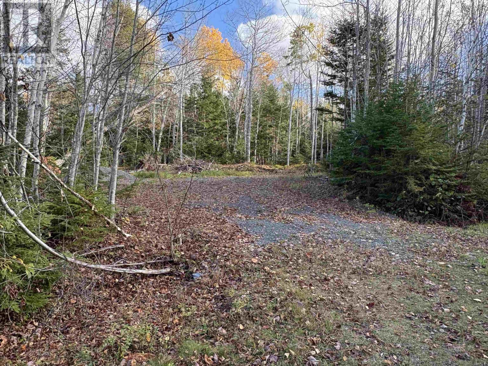 Lot 8 Shady Lane, Loch Broom, Nova Scotia  B0K 1H0 - Photo 5 - 202612700