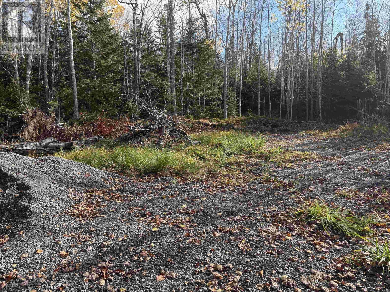 Lot 8 Shady Lane, Loch Broom, Nova Scotia  B0K 1H0 - Photo 14 - 202612700