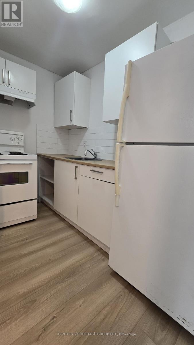 Bsmt - 735 Pam Crescent, Newmarket, Ontario  L3Y 5B7 - Photo 6 - N12888536