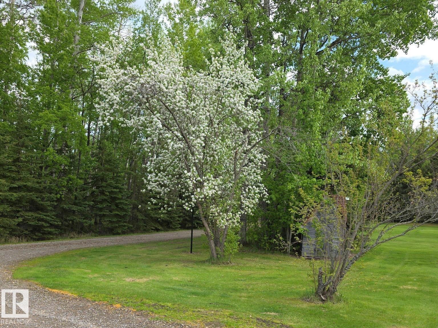75042 Twp Road 464, Rural Wetaskiwin County, Alberta  T0C 0A0 - Photo 11 - E4490961