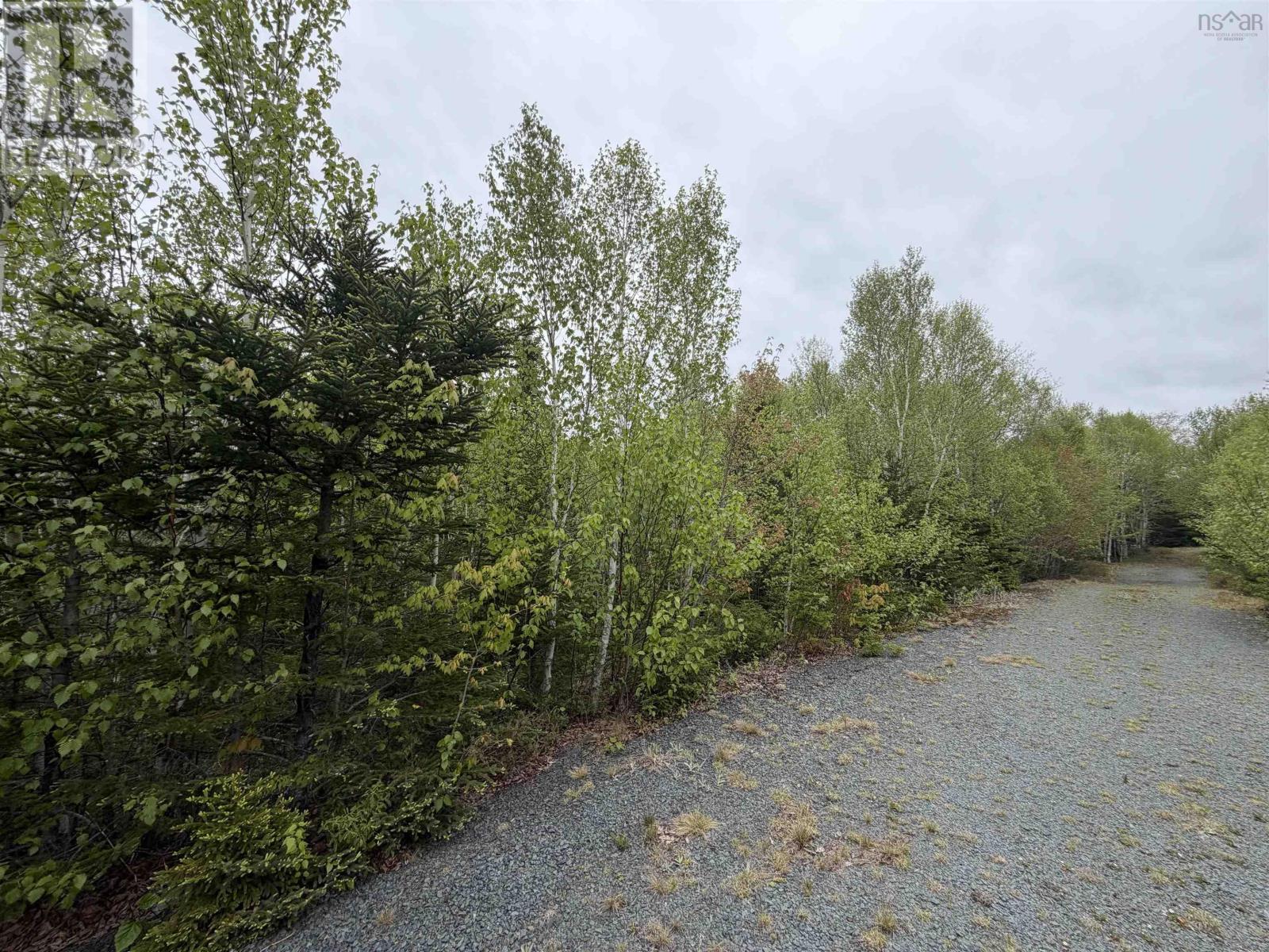 Lot 23 Anderson Drive, Goldenville, Nova Scotia  B0J 0B3 - Photo 9 - 202612711
