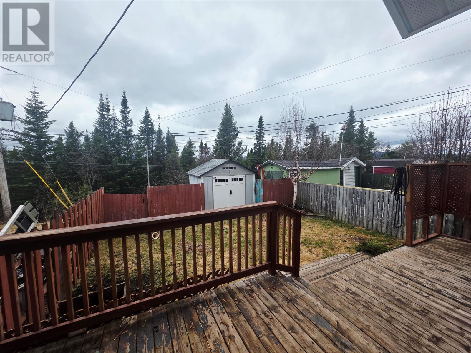 Photo 19
