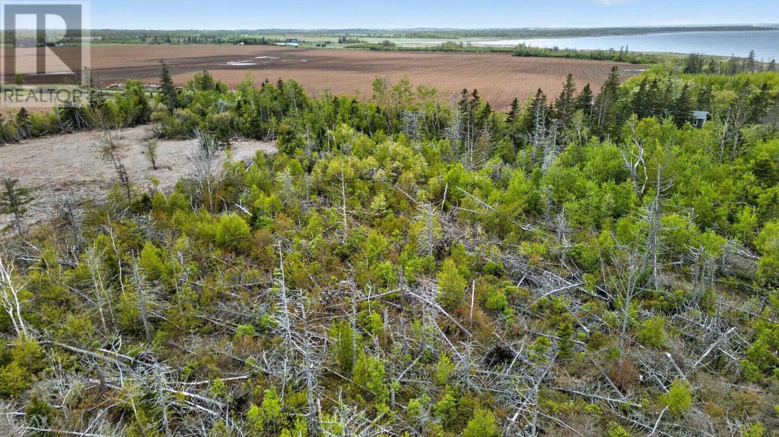 Belmont Park Road, Belmont, Prince Edward Island  C0B 1T0 - Photo 24 - 202612650
