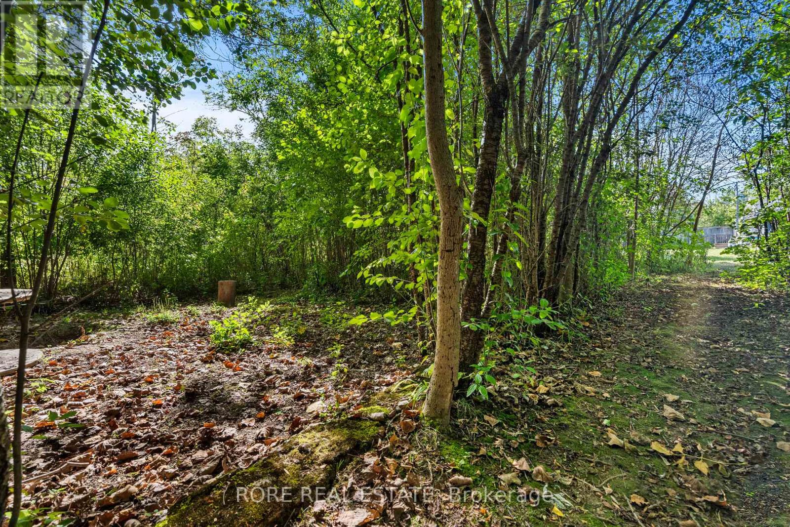 2858 Beach Avenue, Fort Erie (Ridgeway), Ontario L0S 1N0 - Photo 24 - X13220128