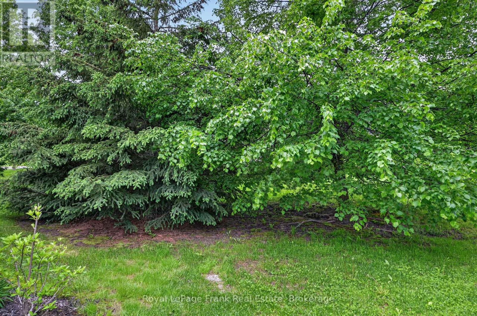 42 - 301 Carnegie Avenue, Peterborough, Ontario  K9L 0B3 - Photo 39 - X13220288