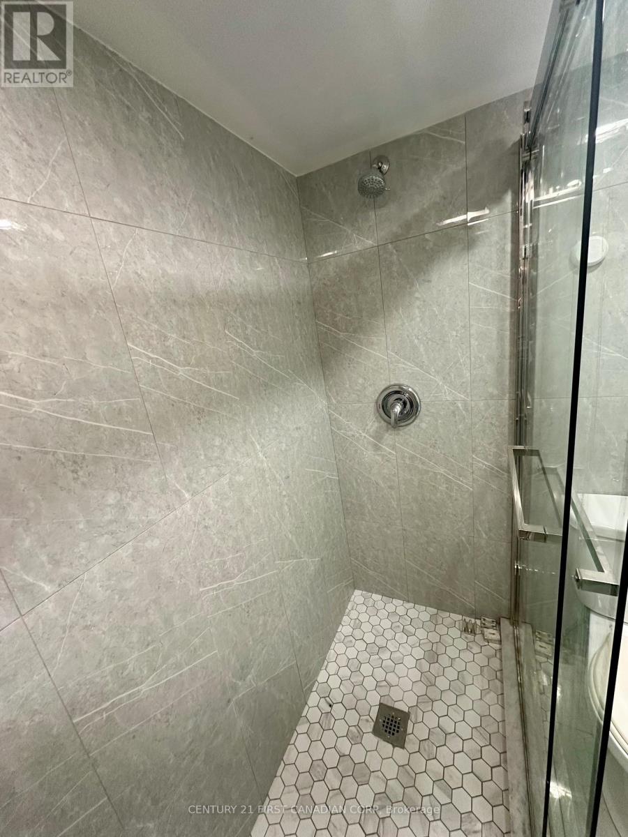 Lower - 139 Britannia Avenue, London North, Ontario  N6H 2J4 - Photo 18 - X13220302