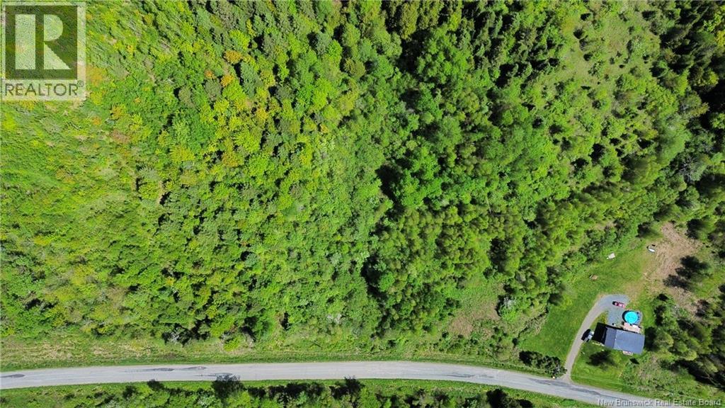 Lot 98-1 Mainstream Road, Mainstream, New Brunswick  E7P 2C8 - Photo 13 - NB140578