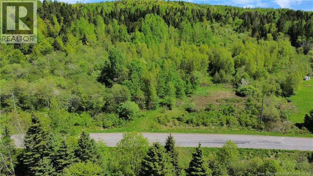 Lot 98-1 Mainstream Road, Mainstream, New Brunswick  E7P 2C8 - Photo 15 - NB140578