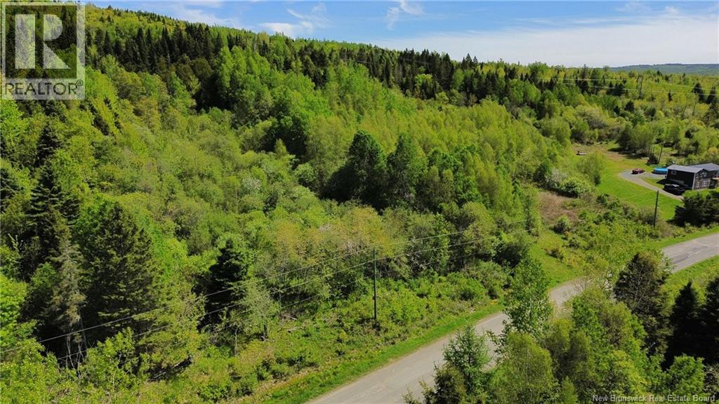 Lot 98-1 Mainstream Road, Mainstream, New Brunswick  E7P 2C8 - Photo 16 - NB140578