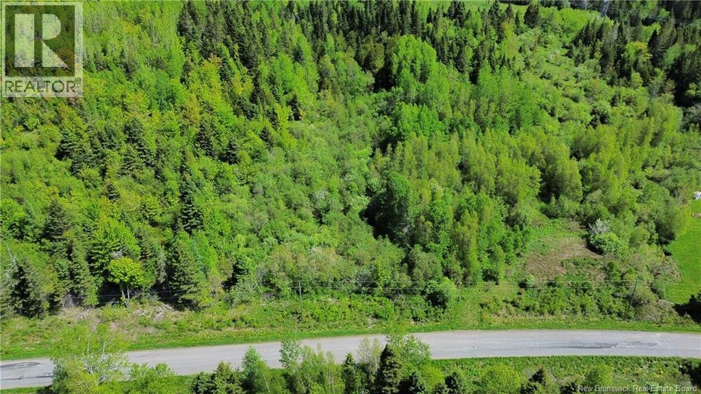 Lot 98-1 Mainstream Road, Mainstream, New Brunswick  E7P 2C8 - Photo 4 - NB140578