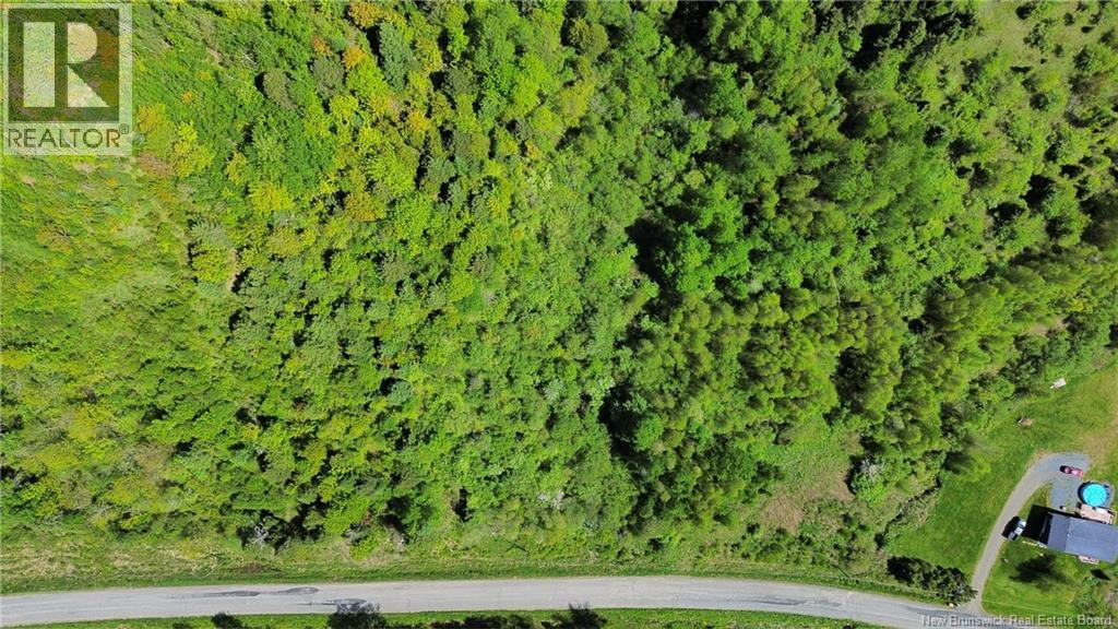 Lot 98-1 Mainstream Road, Mainstream, New Brunswick  E7P 2C8 - Photo 6 - NB140578