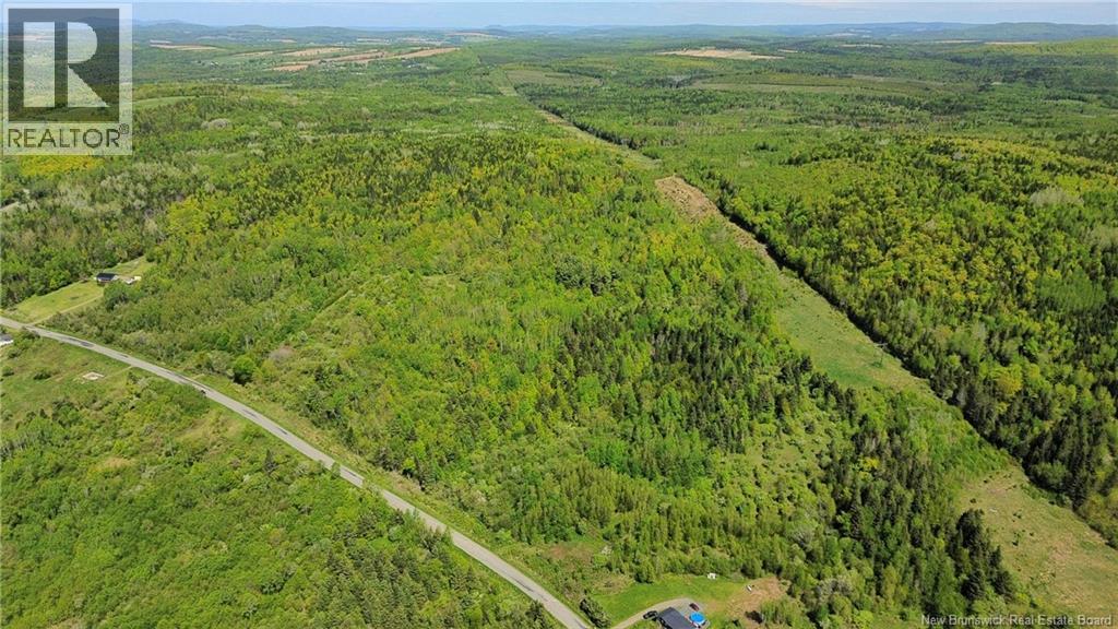 Lot 98-1 Mainstream Road, Mainstream, New Brunswick  E7P 2C8 - Photo 7 - NB140578