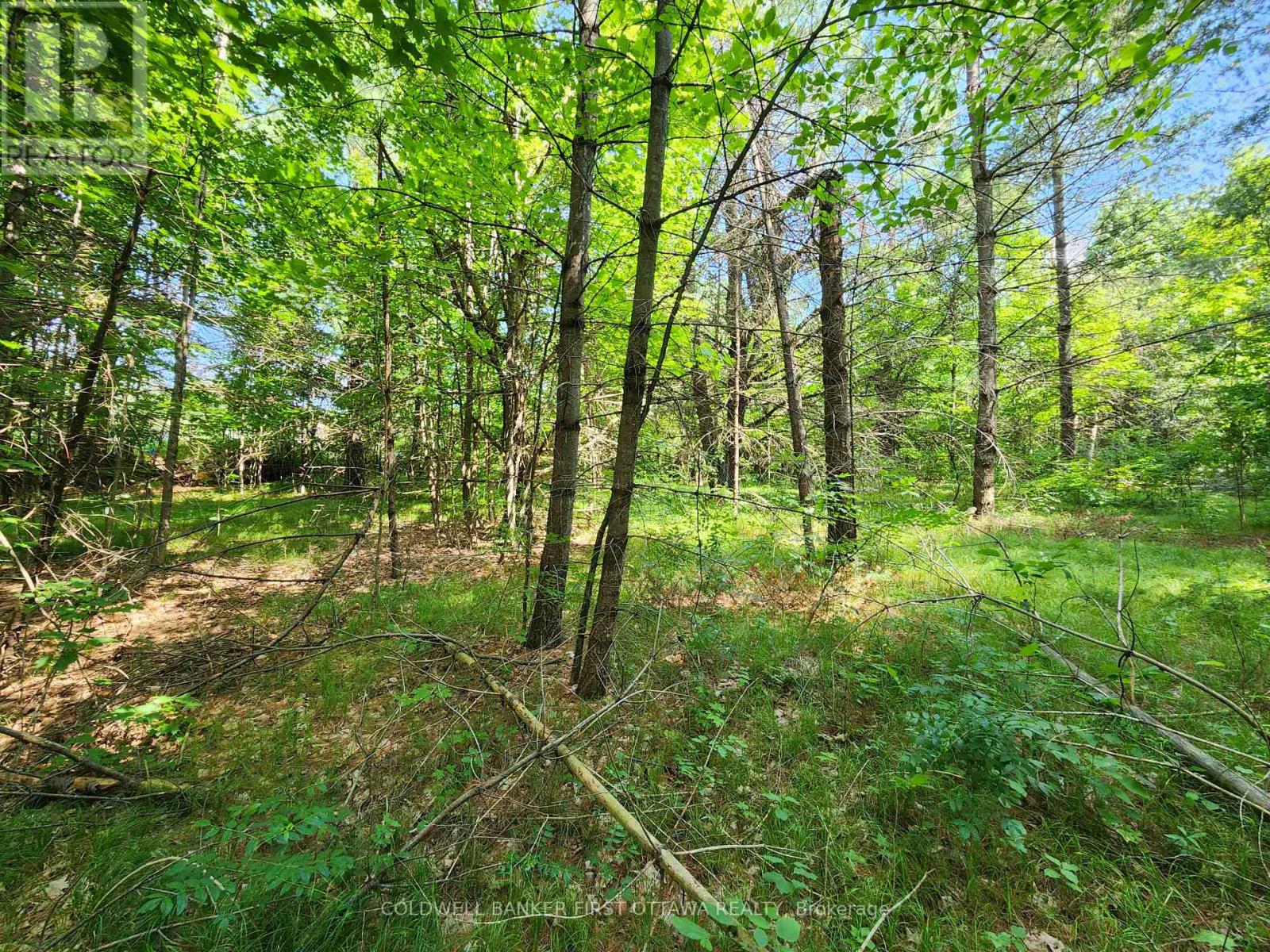 115 Doran Road, Tay Valley, Ontario  K7H 3C7 - Photo 10 - X12761716
