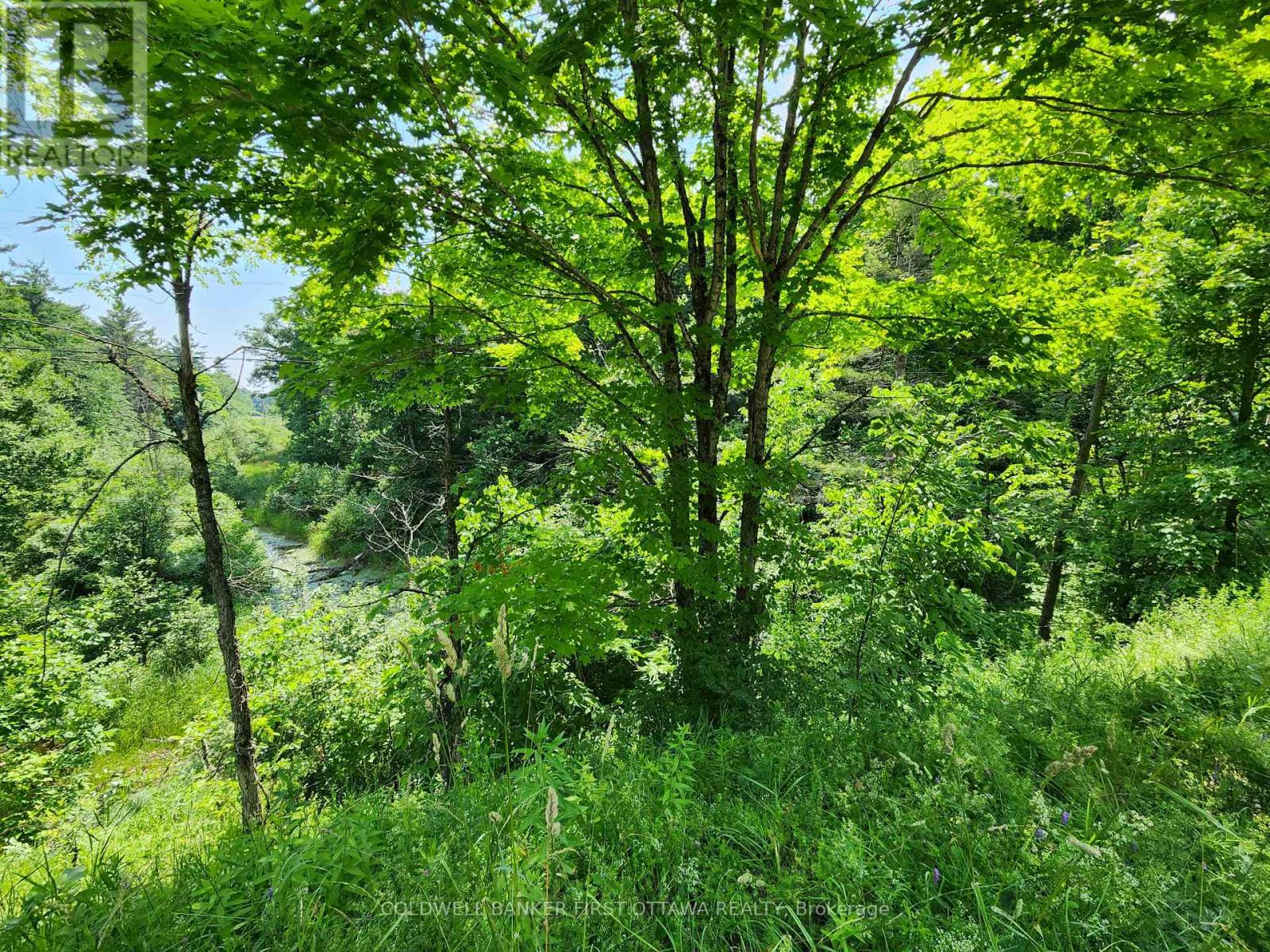 115 Doran Road, Tay Valley, Ontario  K7H 3C7 - Photo 12 - X12761716