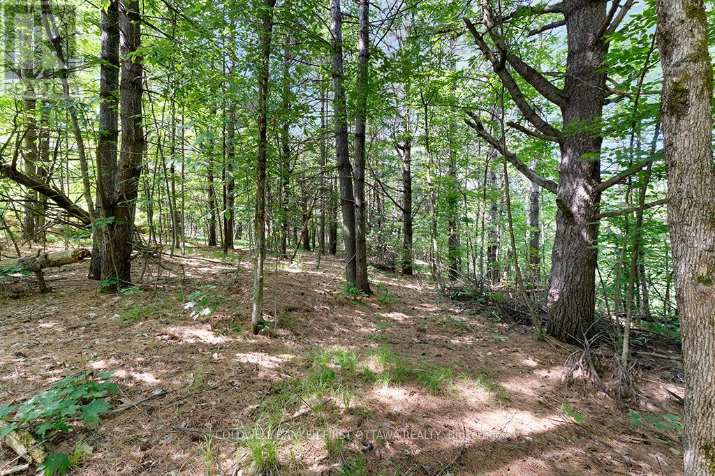 115 Doran Road, Tay Valley, Ontario  K7H 3C7 - Photo 7 - X12761716