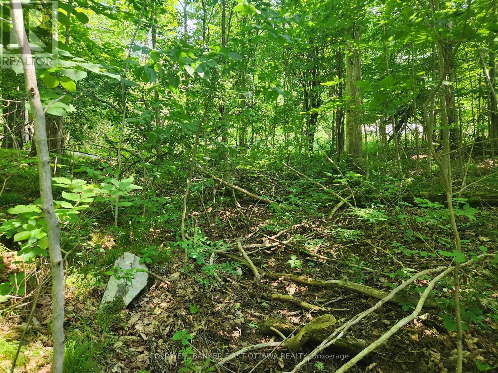 115 Doran Road, Tay Valley, Ontario  K7H 3C7 - Photo 14 - X12761716