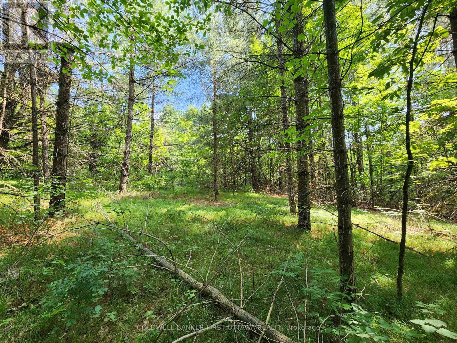 115 Doran Road, Tay Valley, Ontario  K7H 3C7 - Photo 9 - X12761716
