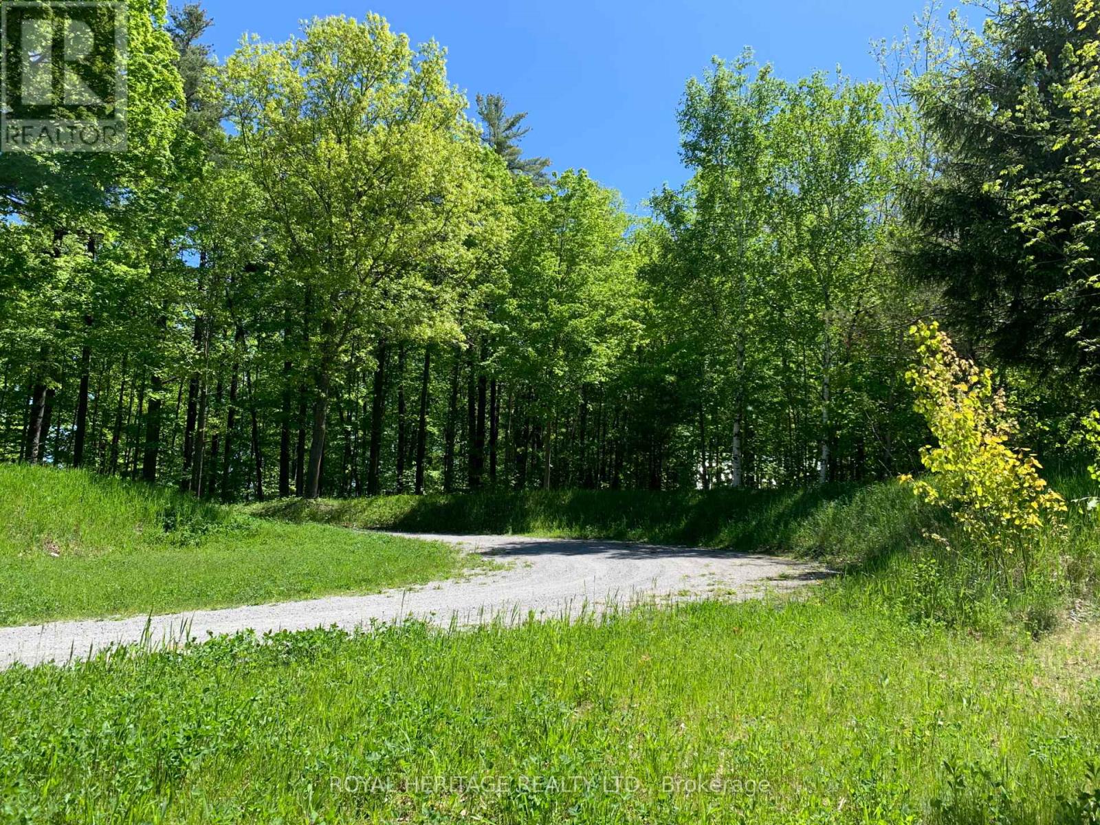 6677 Concession 2 Road, Uxbridge, Ontario  L6P 0H6 - Photo 17 - N13181074