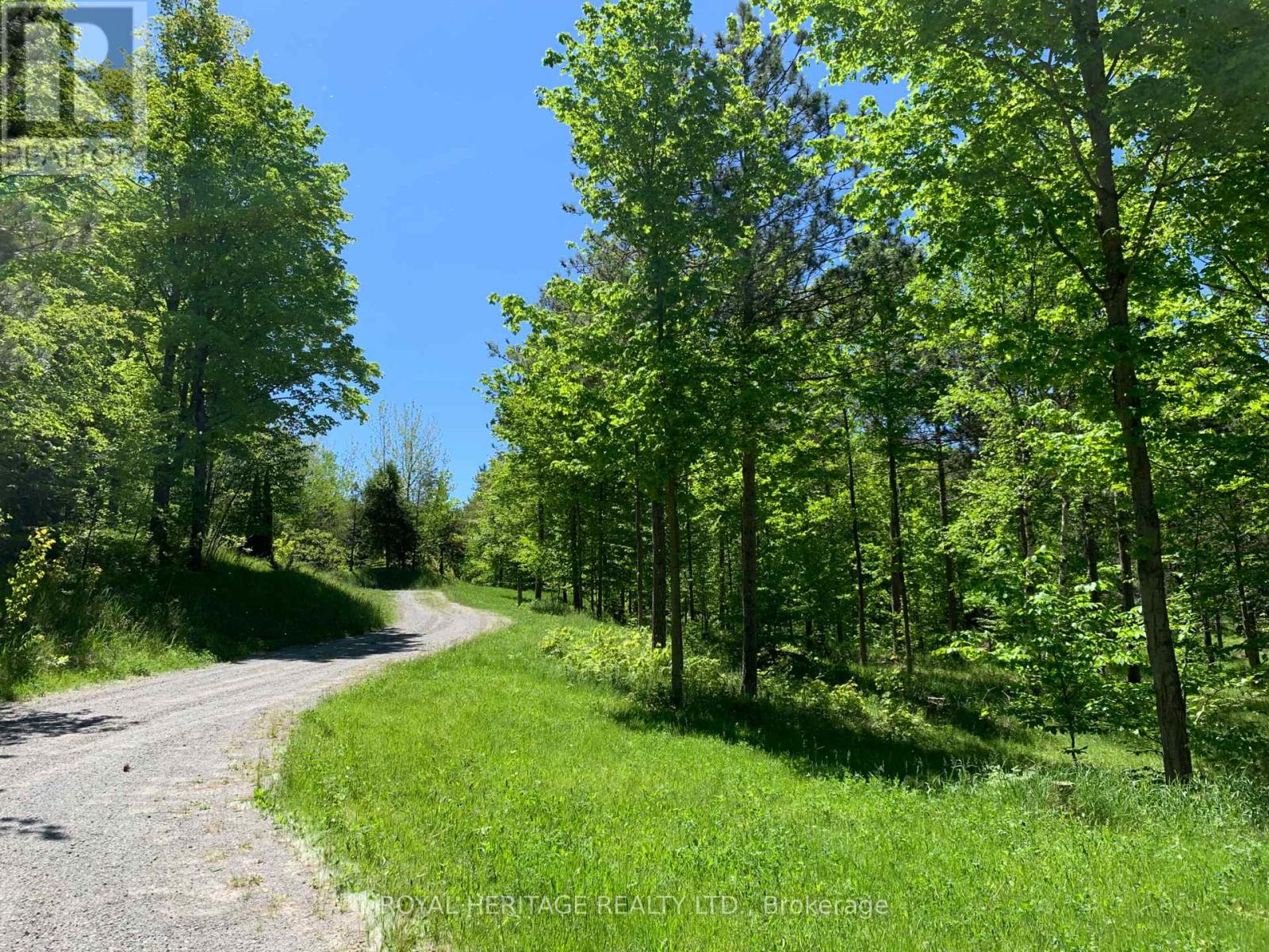6677 Concession 2 Road, Uxbridge, Ontario  L6P 0H6 - Photo 15 - N13181074