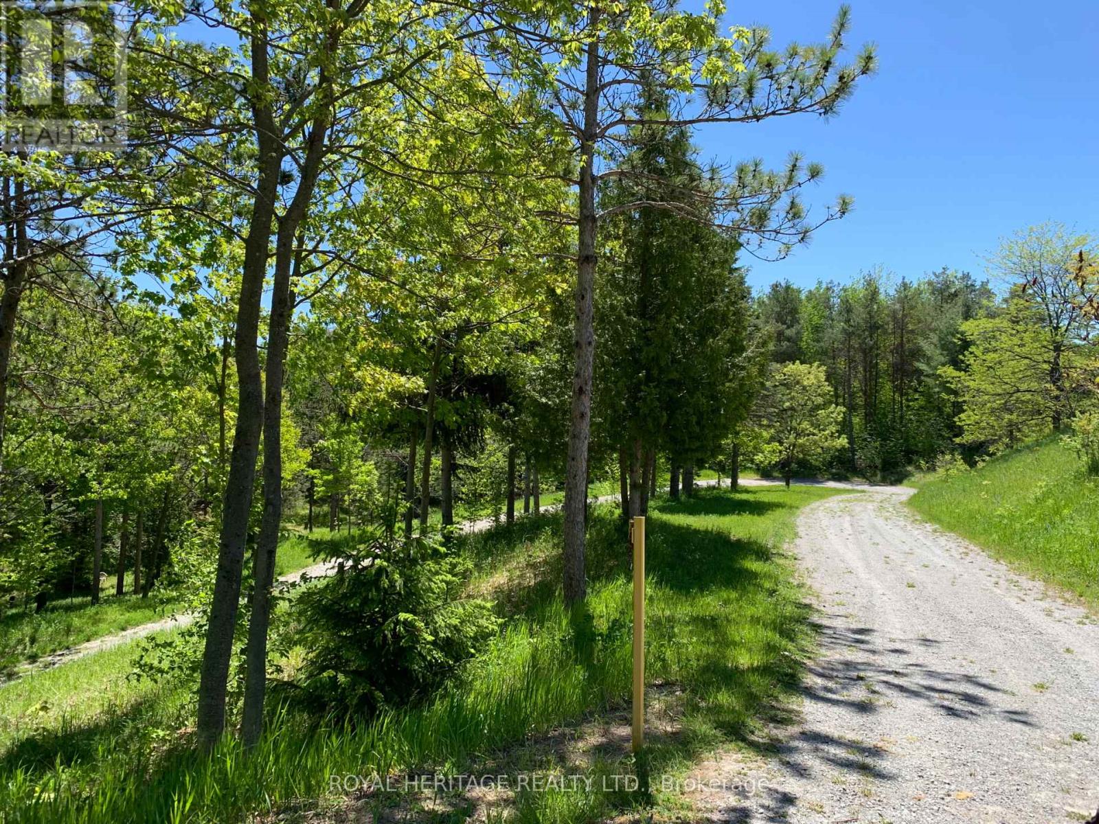 6677 Concession 2 Road, Uxbridge, Ontario  L6P 0H6 - Photo 5 - N13181074