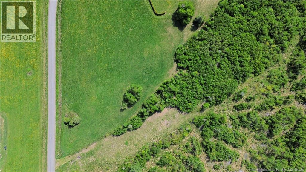 Lot 24-01 Mckenna Road, Newburg, New Brunswick  E7N 1V5 - Photo 4 - NB140576