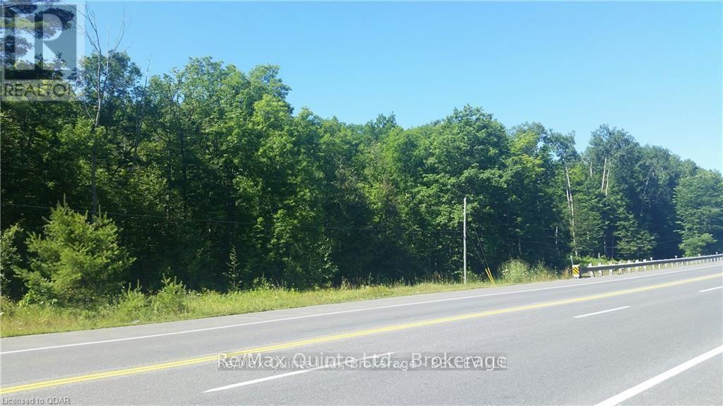 0 7 Highway, Madoc, Ontario  K0K 2K0 - Photo 2 - X13220844