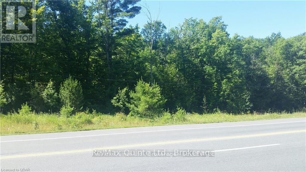 0 7 Highway, Madoc, Ontario  K0K 2K0 - Photo 3 - X13220844