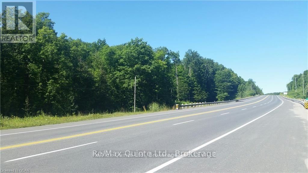 0 7 Highway, Madoc, Ontario  K0K 2K0 - Photo 4 - X13220844