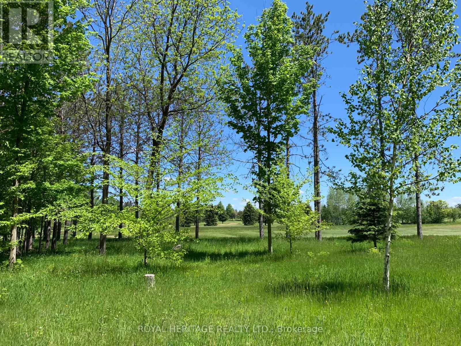 6677 Concession 2 Road, Uxbridge, Ontario  L6P 0H6 - Photo 44 - N13181074
