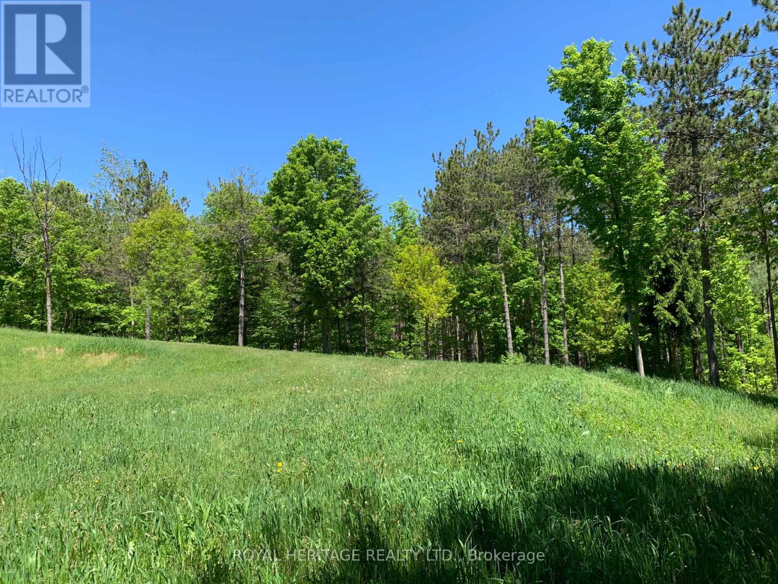 6677 Concession 2 Road, Uxbridge, Ontario  L6P 0H6 - Photo 41 - N13181074