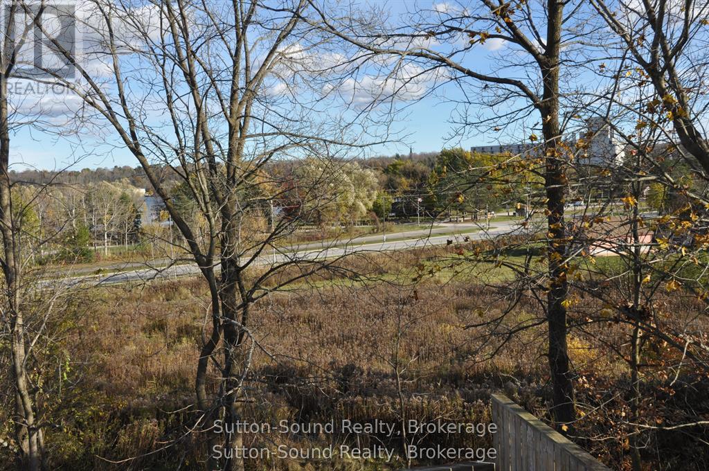 1969 4th Avenue W, Owen Sound, Ontario N4K 4Y1 - Photo 27 - X13220574