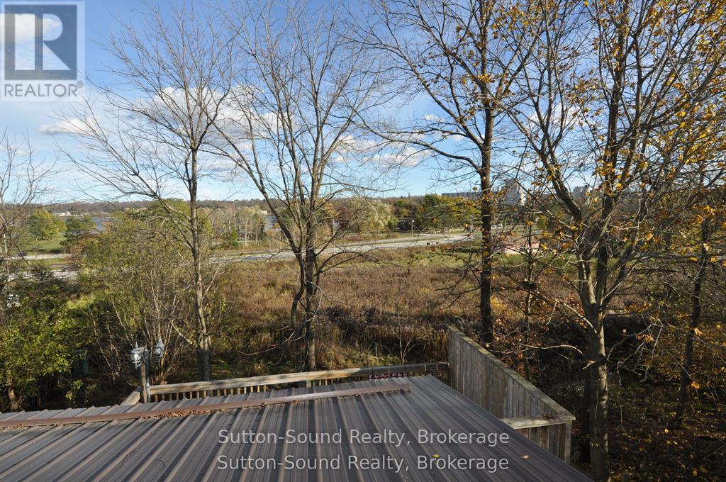 1969 4th Avenue W, Owen Sound, Ontario N4K 4Y1 - Photo 28 - X13220574