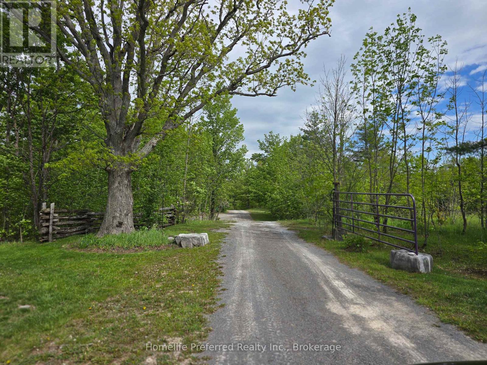 6070 28 Highway, North Kawartha, Ontario  K0L 3E0 - Photo 49 - X13217216