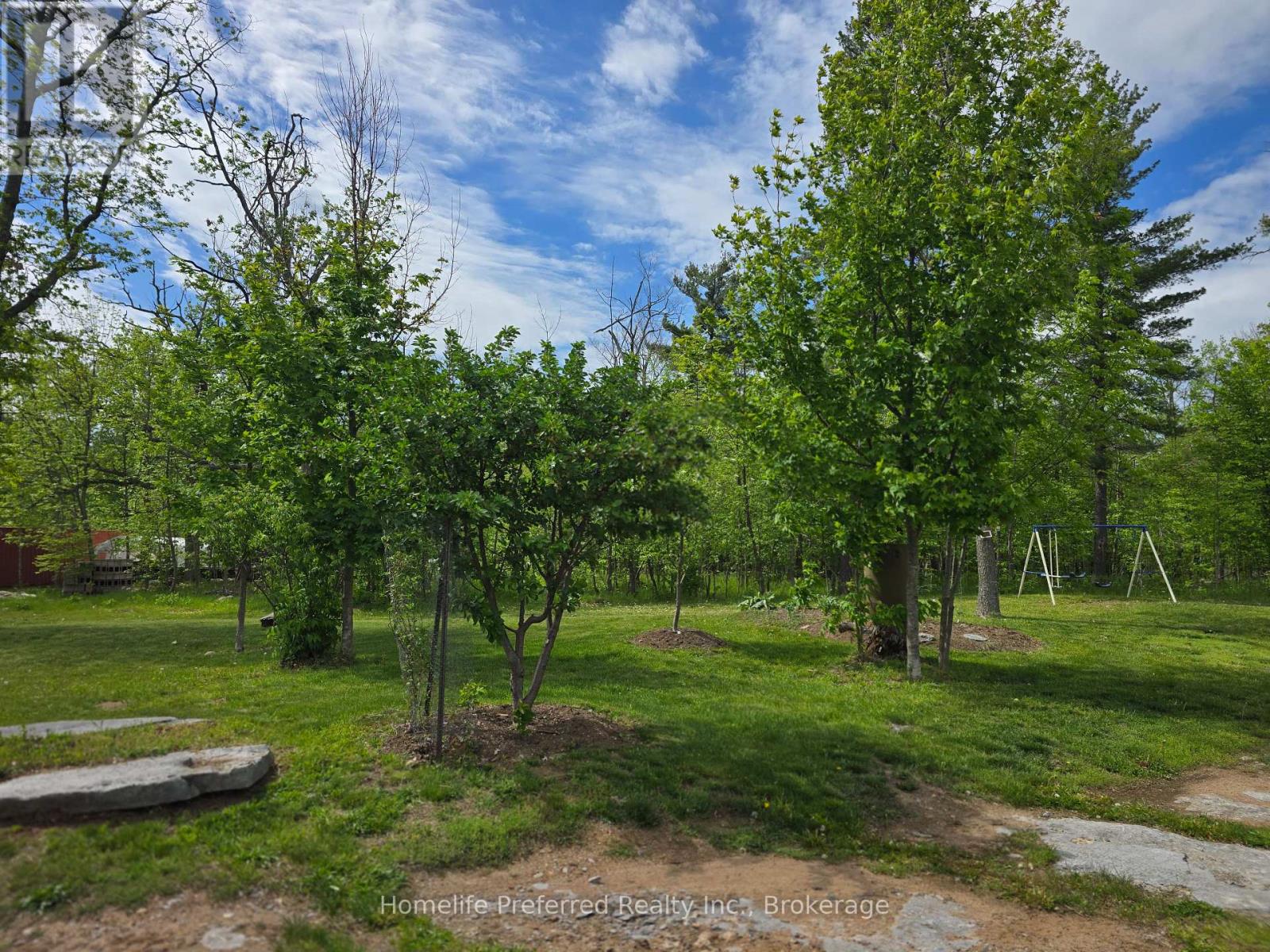 6070 28 Highway, North Kawartha, Ontario  K0L 3E0 - Photo 48 - X13217216