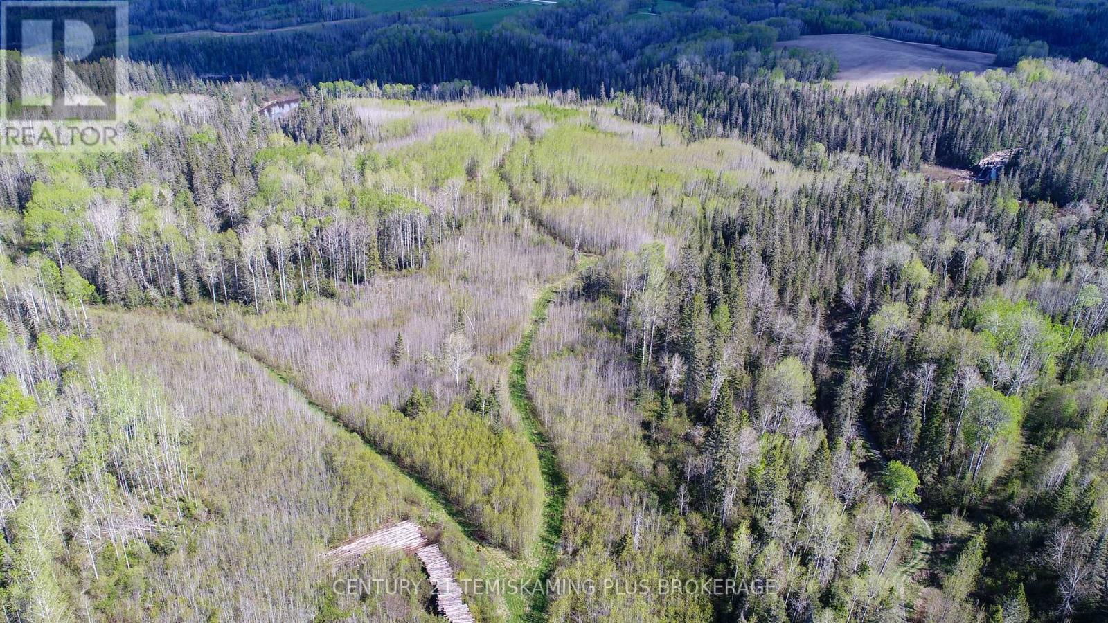 Pt Lt 4 Con 1 Aidie Creek, Englehart, Ontario  P0J 1H0 - Photo 13 - T13221090