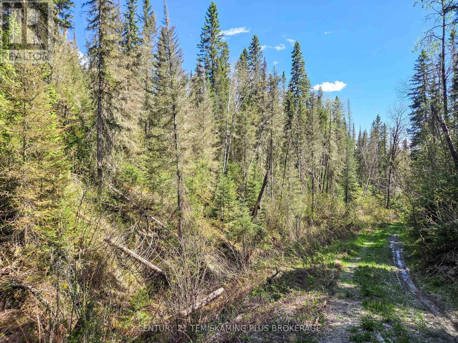 Pt Lt 4 Con 1 Aidie Creek, Englehart, Ontario  P0J 1H0 - Photo 20 - T13221090