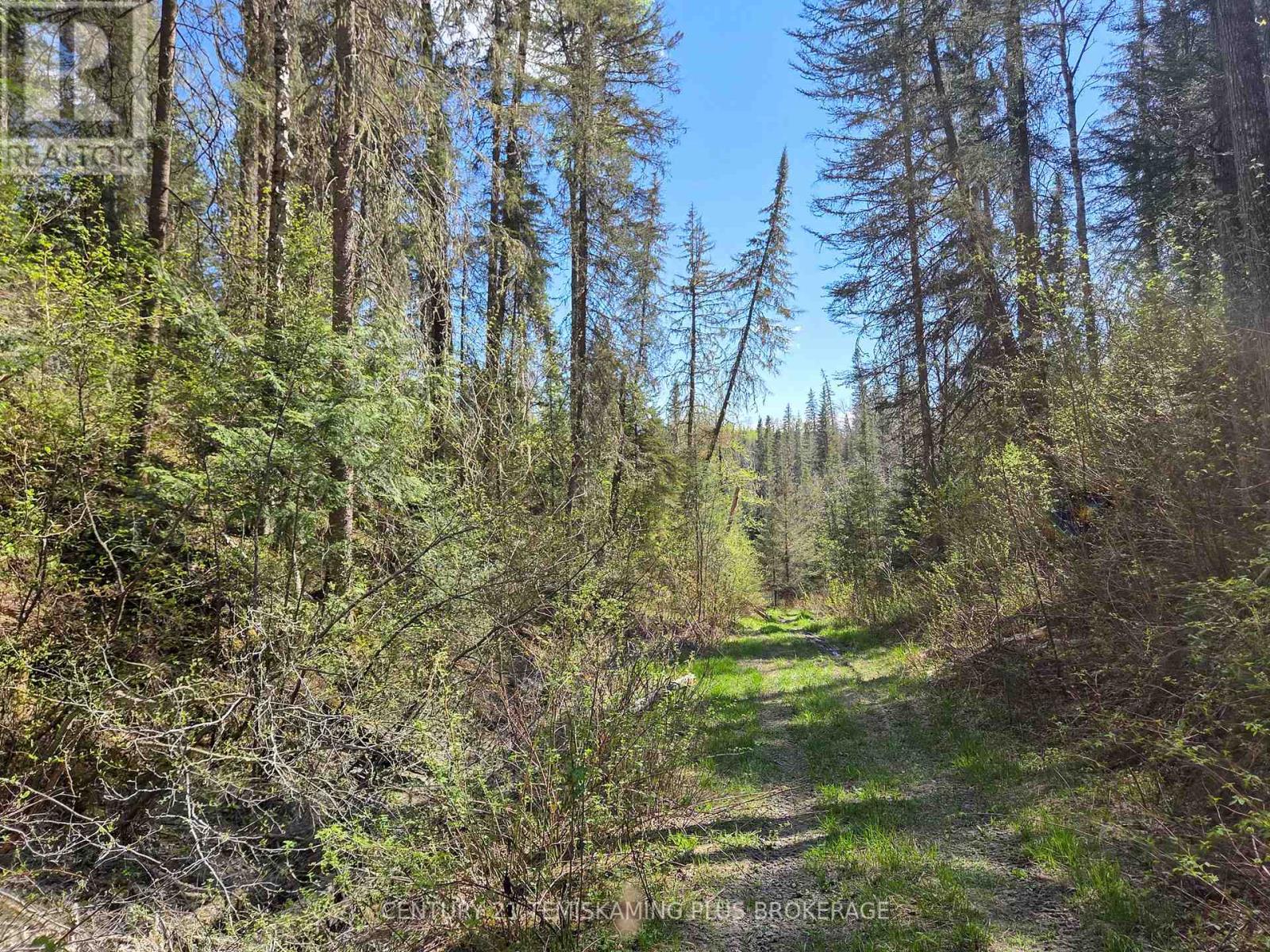 Pt Lt 4 Con 1 Aidie Creek, Englehart, Ontario  P0J 1H0 - Photo 21 - T13221090