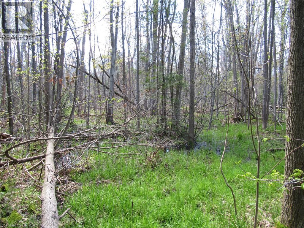 0 Regional Road 97, Hamilton, Ontario  N1R 5S7 - Photo 2 - 40827332