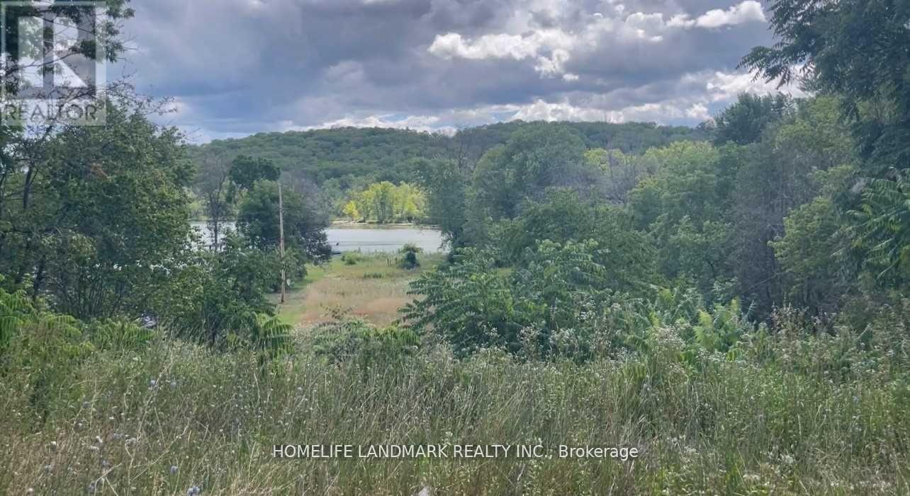 1355 County Rd 45, Asphodel-Norwood, Ontario  K0L 2V0 - Photo 4 - X13220942