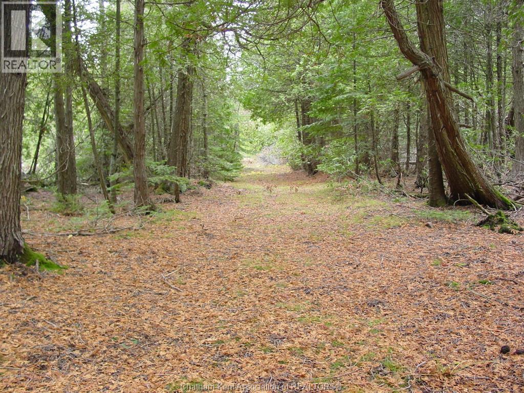 V/l Warner Bay Road, Bruce County, Ontario  N0H 2R0 - Photo 10 - 26012647