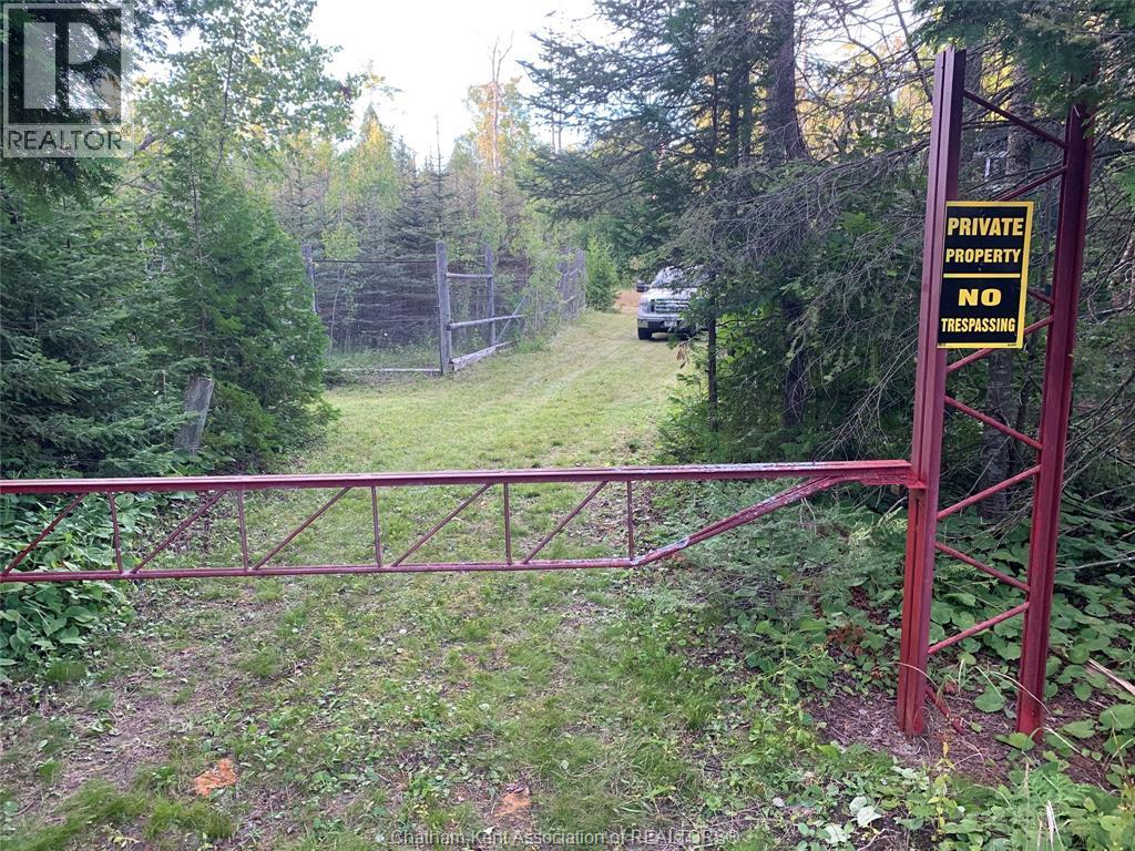 V/l Warner Bay Road, Bruce County, Ontario  N0H 2R0 - Photo 11 - 26012647