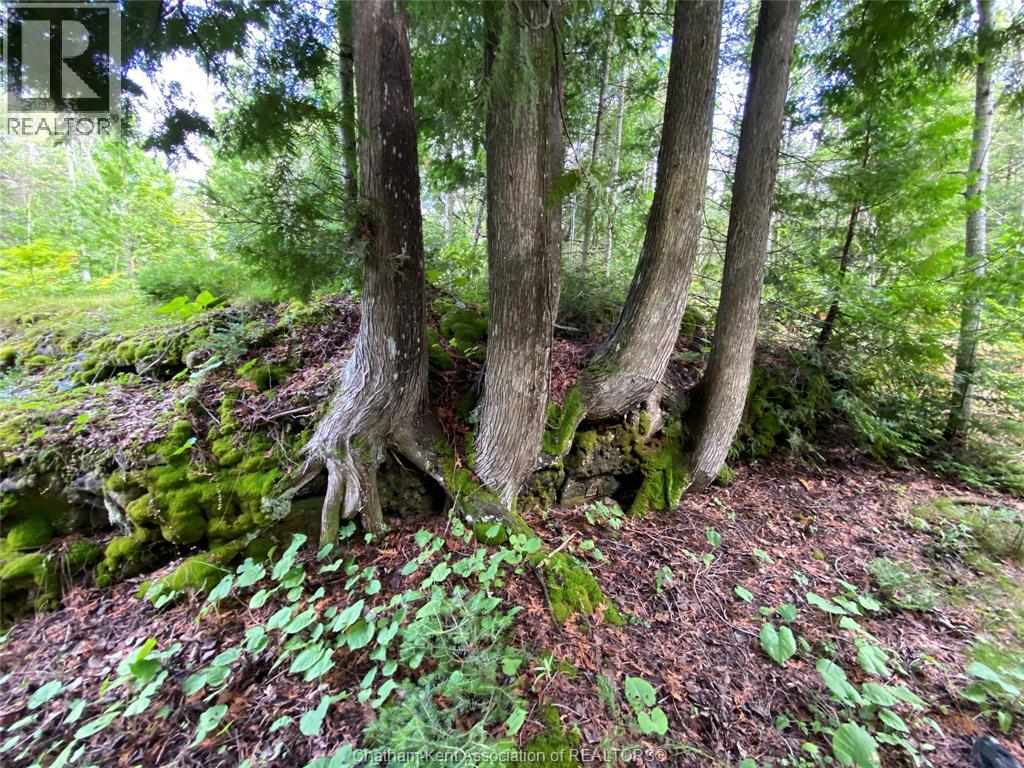 V/l Warner Bay Road, Bruce County, Ontario  N0H 2R0 - Photo 17 - 26012647
