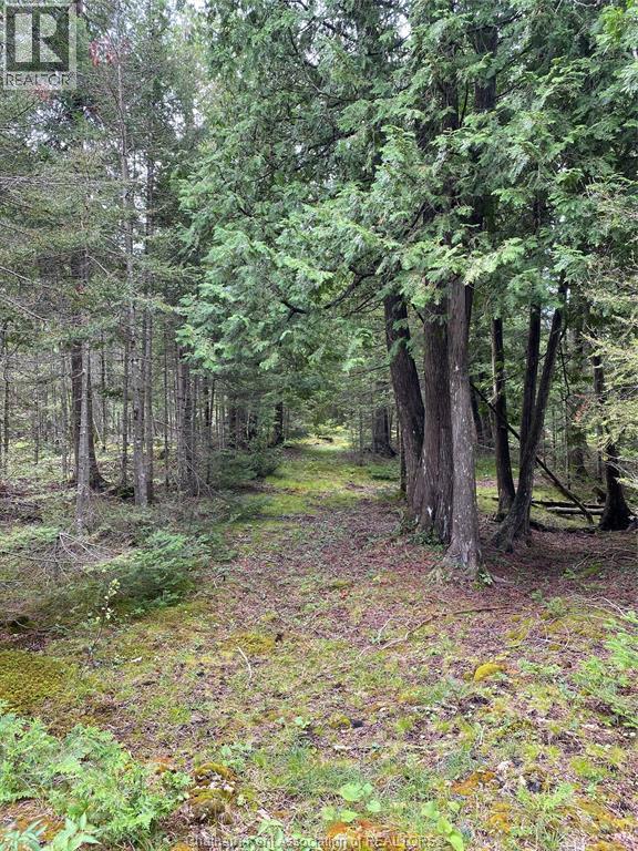 V/l Warner Bay Road, Bruce County, Ontario  N0H 2R0 - Photo 23 - 26012647