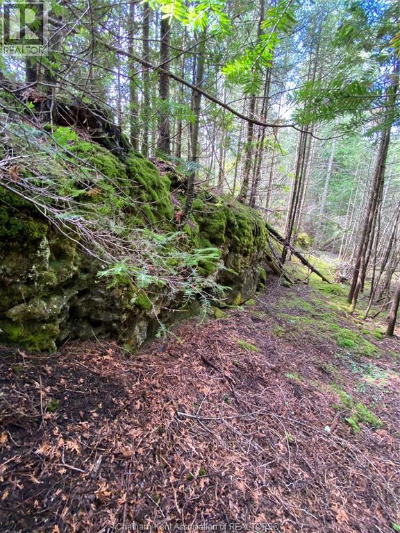 V/l Warner Bay Road, Bruce County, Ontario  N0H 2R0 - Photo 25 - 26012647