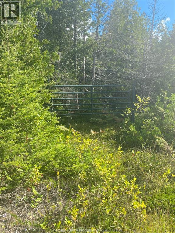 V/l Warner Bay Road, Bruce County, Ontario  N0H 2R0 - Photo 26 - 26012647