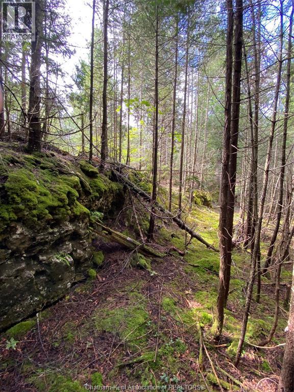 V/l Warner Bay Road, Bruce County, Ontario  N0H 2R0 - Photo 28 - 26012647