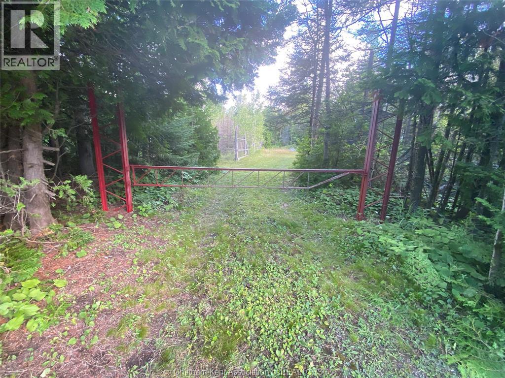 V/l Warner Bay Road, Bruce County, Ontario  N0H 2R0 - Photo 32 - 26012647
