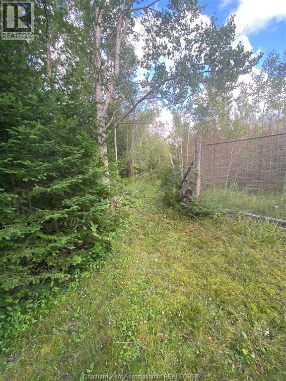 V/l Warner Bay Road, Bruce County, Ontario  N0H 2R0 - Photo 35 - 26012647
